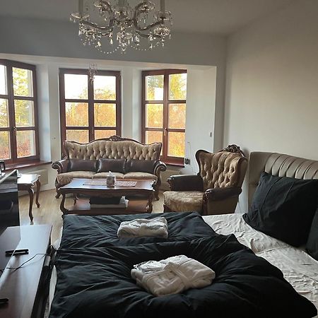 Dogs Resort And Spa Horni Bezdekov Exterior photo