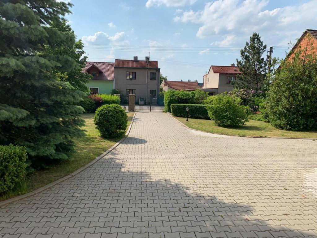 Dogs Resort And Spa Horni Bezdekov Exterior photo